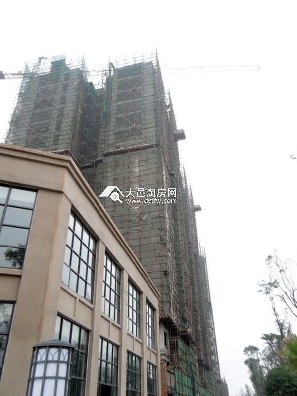 徜徉在幸福的味道里 春天国际6月最新进度