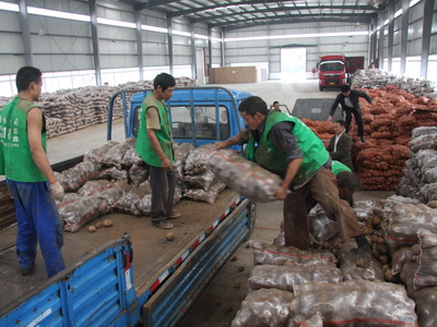 大邑企事业单位干部职工认购土豆210多吨