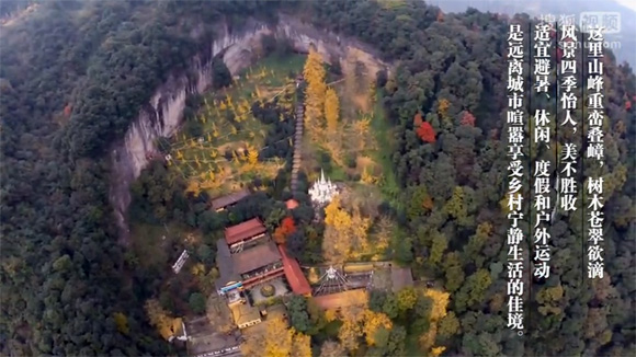 大邑县金星白岩寺鸟瞰视频 从空中看白岩寺银杏