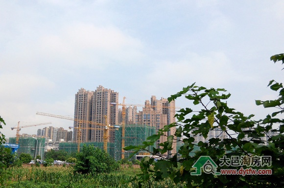 城市绿洲18号楼摇号结果:普通购房者中签率155.81%