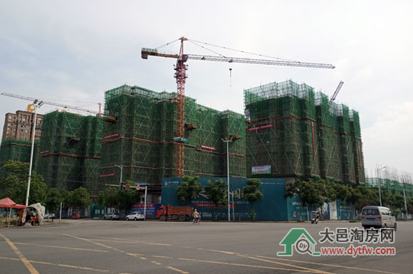 保利中央公园9/13号楼 个人购房者女性多于男性