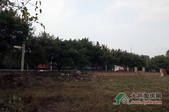 大邑城西街地块以楼面价2667元/平成交