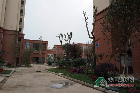 大邑天邑鑫瑞花园2021年6月小区绿化施工情况