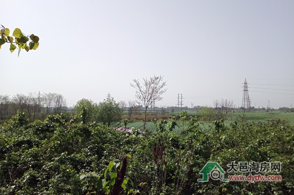 大邑王滩片区控制性详细规划编制开始招标