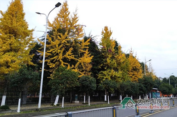 你在大邑这样购房有可能获取到更多的优惠