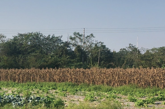 选址安仁三柏洞地块 大邑长征文化园10月动态