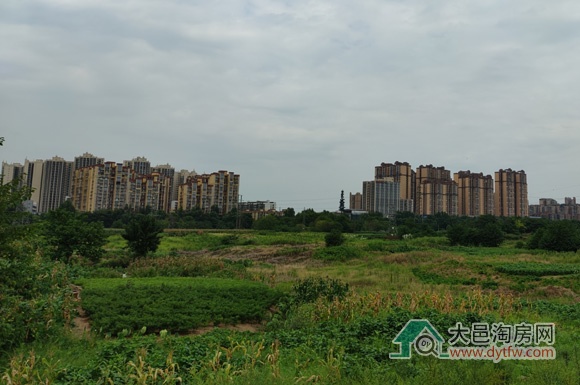 大邑王滩片区地块组二次上市 条件发生变化