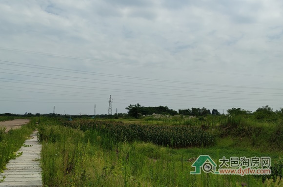 大邑王滩片区第三宗地块上市 起拍价201.58万元/亩