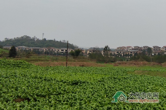 大邑凤凰片区四宗住宅用地上市 起拍价250万元/亩