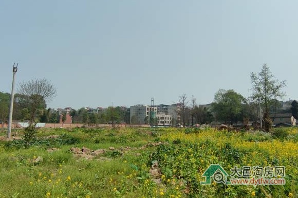 力扬拿下大邑建华片区纯住宅用地