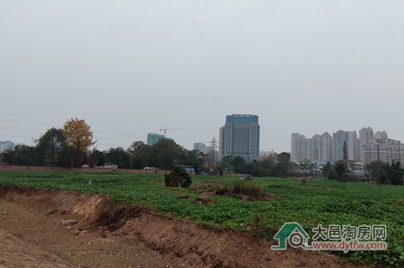 大邑王滩片区新一轮控制性详细规划编制方出炉