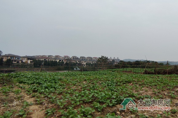 大邑平台公司拿下凤凰片区四宗纯住宅用地