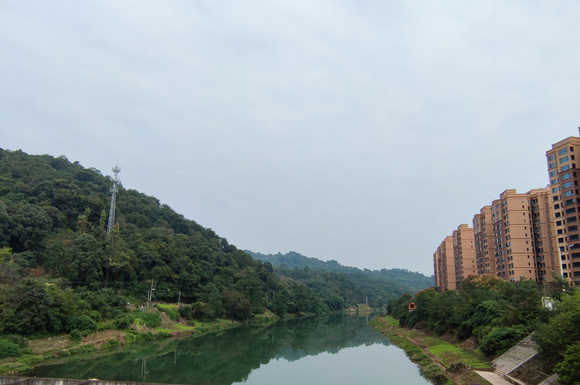 2022年4季度大邑县城主要楼盘住宅成交套数统计