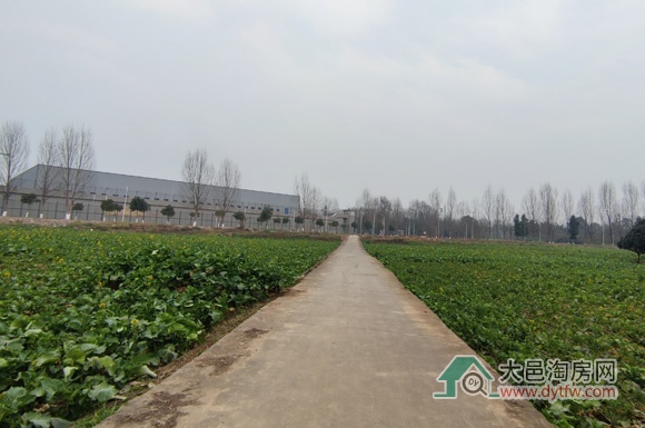 成都市脑科学医院开始项目勘察设计招标