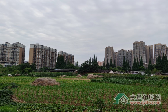 盛世国康置业竞得大邑建华片区纯住宅地块