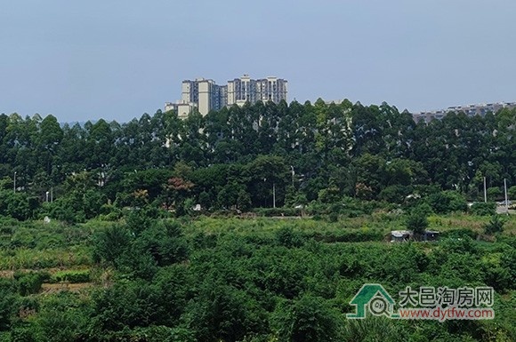 大邑高铁站旁特星商业地块上市