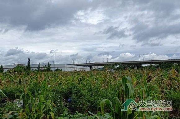 大邑高铁站旁特星商业地块上市