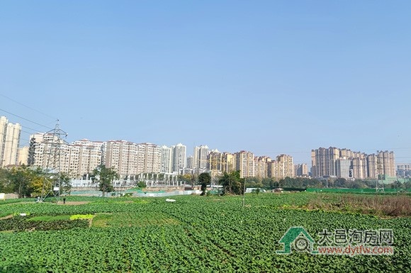 337.3万元/亩 大邑王滩片区两宗住宅用地上市