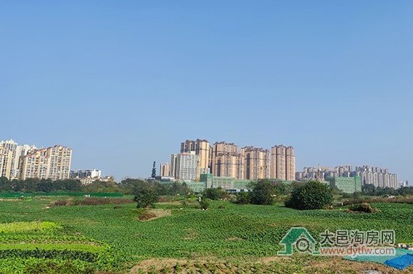 337.3万元/亩 大邑王滩片区两宗住宅用地上市