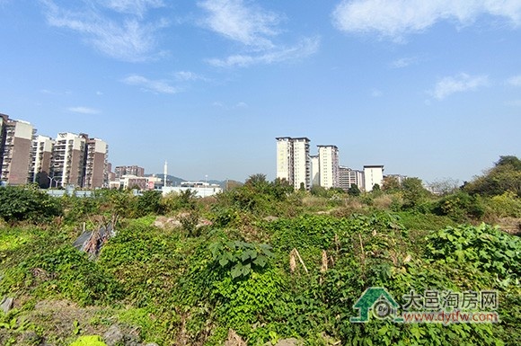 或于明年上半年开售? 大邑金领江语城即将开工建设