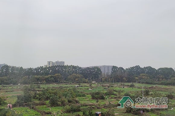 大邑特星地块以1.1279亿元拍出