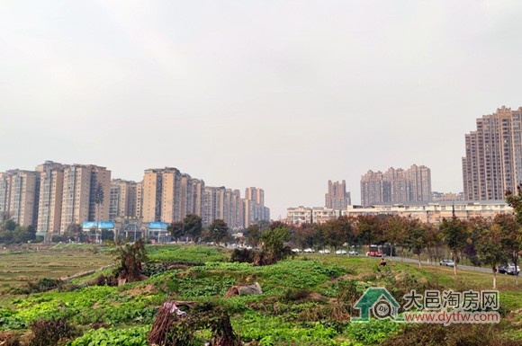 大邑天新大延伸线等项目招标中标结果公布