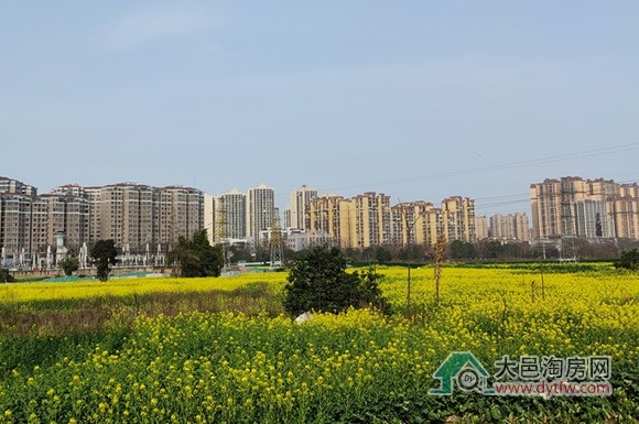 2024年2月份大邑县商品房预售取证情况