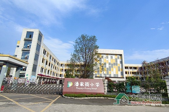 大邑县城区小学2024年招生划片范围出炉