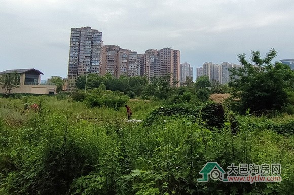 大邑县博物馆建设项目土建部分开始监理招标