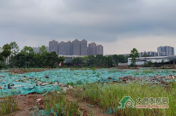 大邑天新大延伸线等项目造价控制中标结果公布