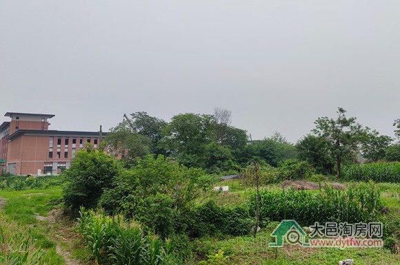 大邑县官渡小学施工与监理中标候选人出炉