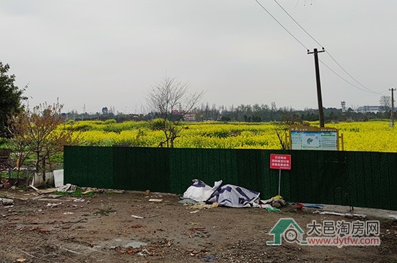 大邑桃源2号地块拟进行规划调整