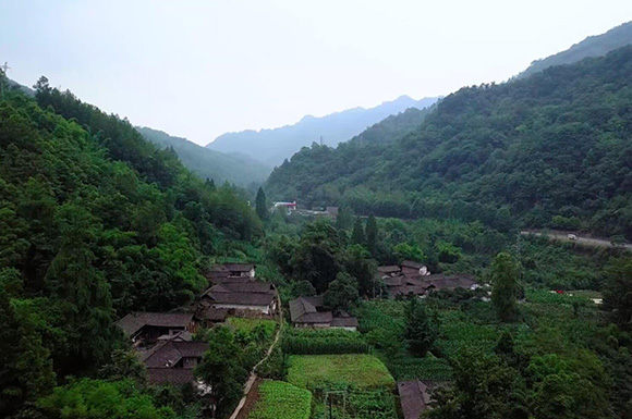 预算290万 大邑启动7个传统村落保护规划编制项目