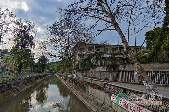 大邑子龙片区规划拟进行重大调整