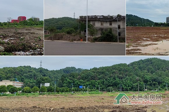 大邑子龙片区规划拟进行重大调整