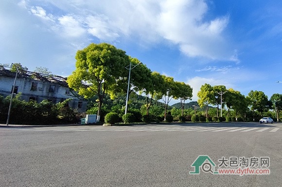 大邑子龙片区规划拟进行重大调整