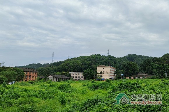 大邑子龙片区规划拟进行重大调整