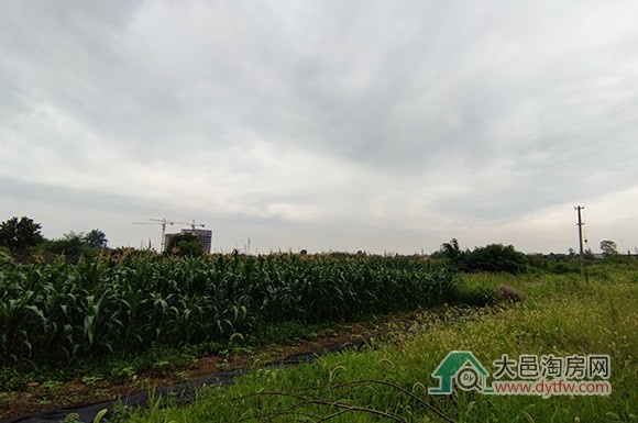 高新区与大邑合资子公司拿下桃源2号地块