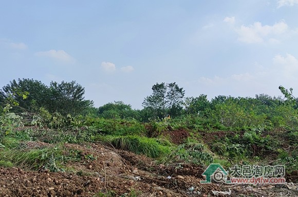 大邑王滩新动态 这块地平整后将上市?