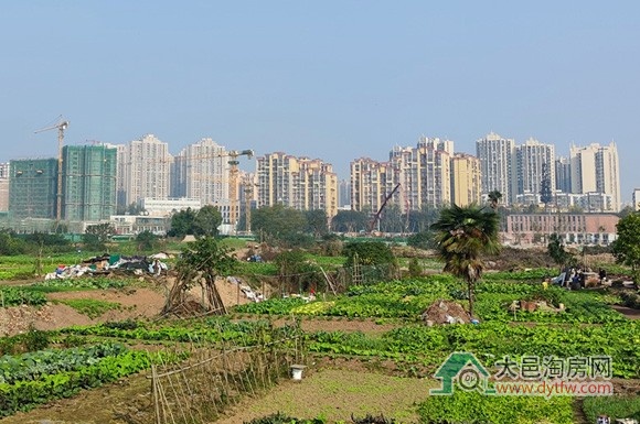 大邑县城王滩8号地块上市 起拍价297.71万/亩