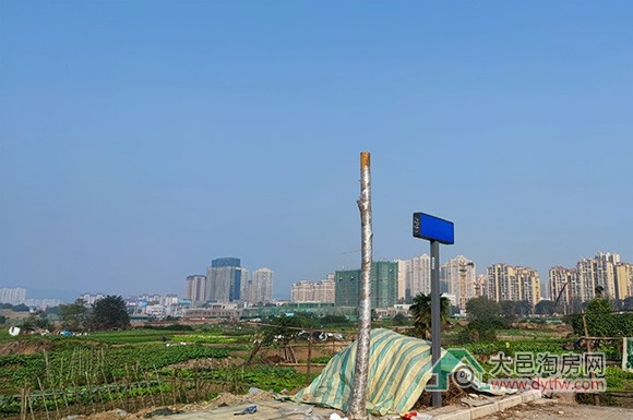 大邑县城王滩8号地块上市 起拍价297.71万/亩