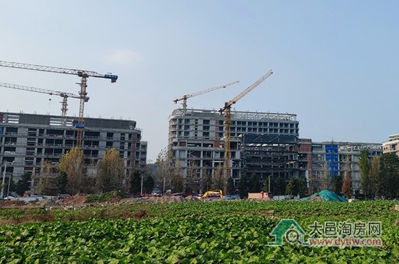 成都市脑科学医院12月施工进度更新