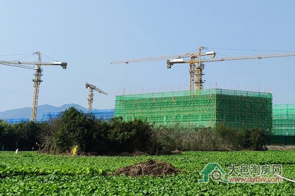 大邑县人民医院迁建项目2024年12月最新施工进度