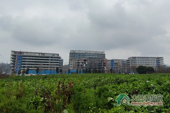 成都市脑科学医院2025年2月施工进度更新