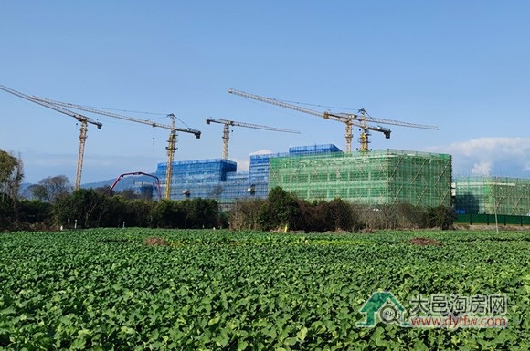 大邑县人民医院迁建项目2月施工进度更新