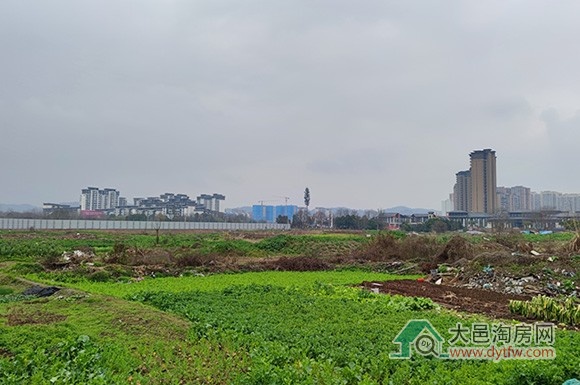 大邑桃源2号地块动态 斜江河畔低密楼盘不久将问世