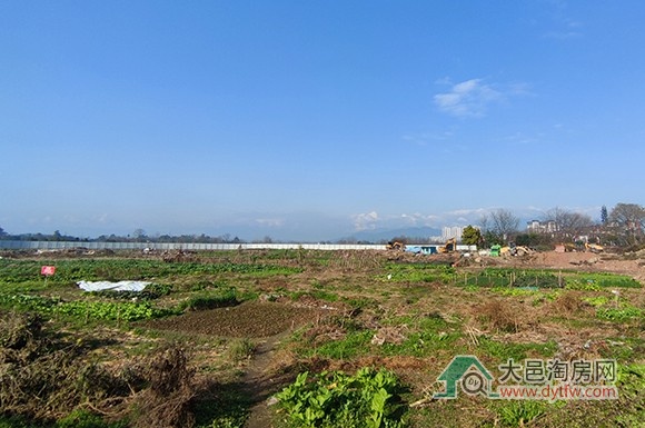 大邑将收回收购443.85亩闲置土地