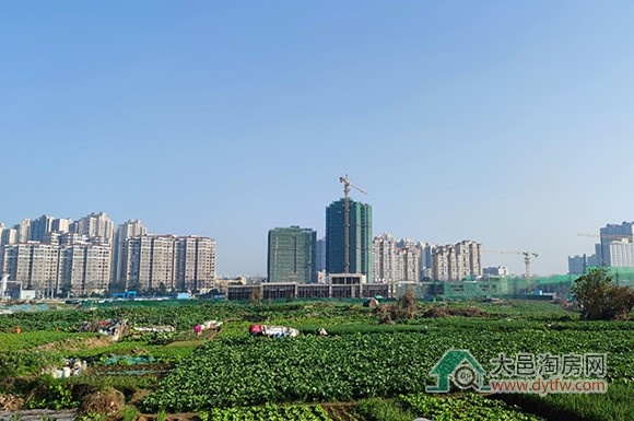 大邑县城五大主力板块房地产格局解析