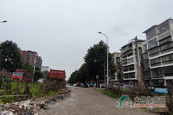 大邑桃源大道延伸段建设工程取得新进展