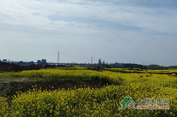 2025عӦƻ¯ ЩƬ⹩